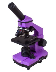 Microscopio Levenhuk Rainbow 2L PLUS, ametista 2