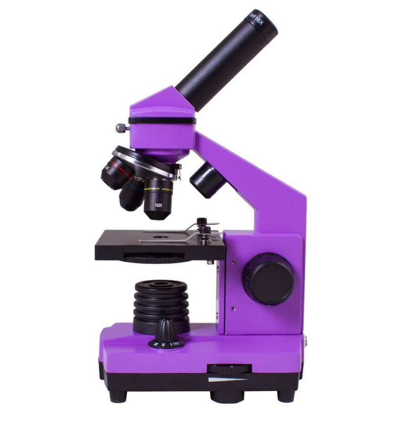 Microscopio Levenhuk Rainbow 2L PLUS, ametista
