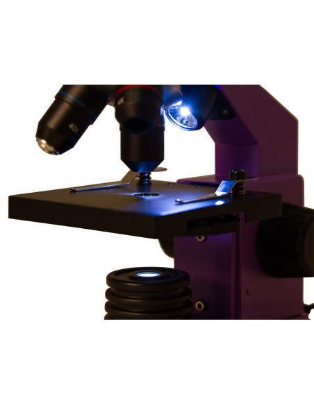 Microscopio Levenhuk Rainbow 2L PLUS, ametista