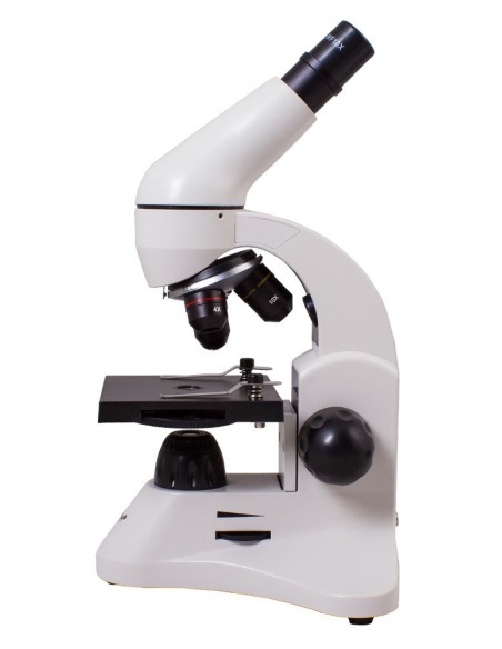 Microscopio Levenhuk Rainbow 50L, pietra lunare