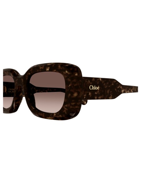 Occhiali sole Chloè - CH0188S-002 - 51