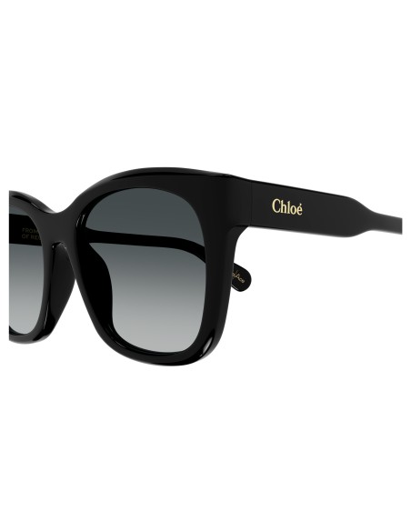 Occhiali sole Chloè - CH0194SK-001 - 55