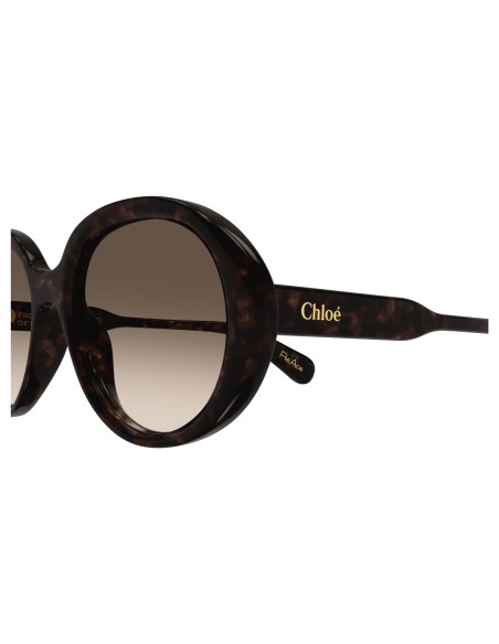 Occhiali sole Chloè - CH0221S-002 - 55