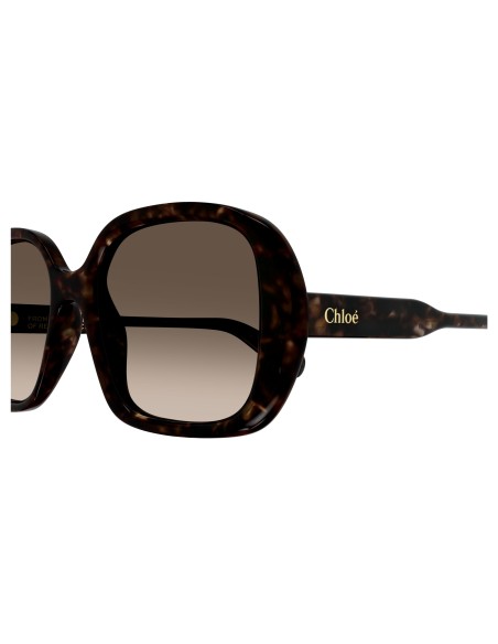 Occhiali sole Chloè - CH0222S-002 - 55