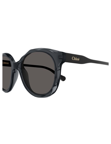 Occhiali sole Chloè - CC0019S-001 - 47