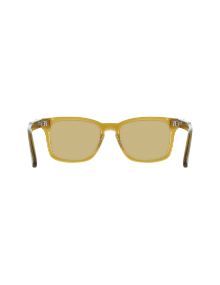 FERRAGAMO - NONE - 259 - 55