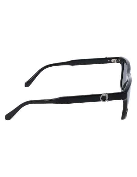 FERRAGAMO - SF2060SE - 1 - 55