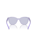 EMPORIO ARMANI - EA4222U - 61131A - 56