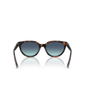 TIFFANY - TF4256D - 80159S - 55