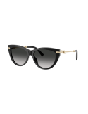 TIFFANY - TF4253 - 80013C - 55