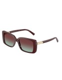 TIFFANY - TF4249 - 8389V5 - 55