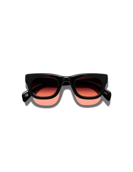 Occhiali Sole Moscot SPILKES SUN 48 | Isolani Boutique