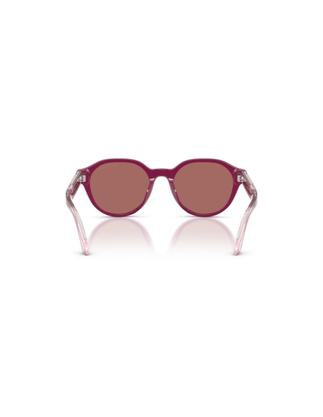 Emporio Armani Kids 0EK4008U Occhiali da Sole Calibro 48 | Isolani Boutique