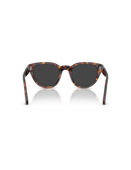 PERSOL - PO3379S - 24/48 - 54
