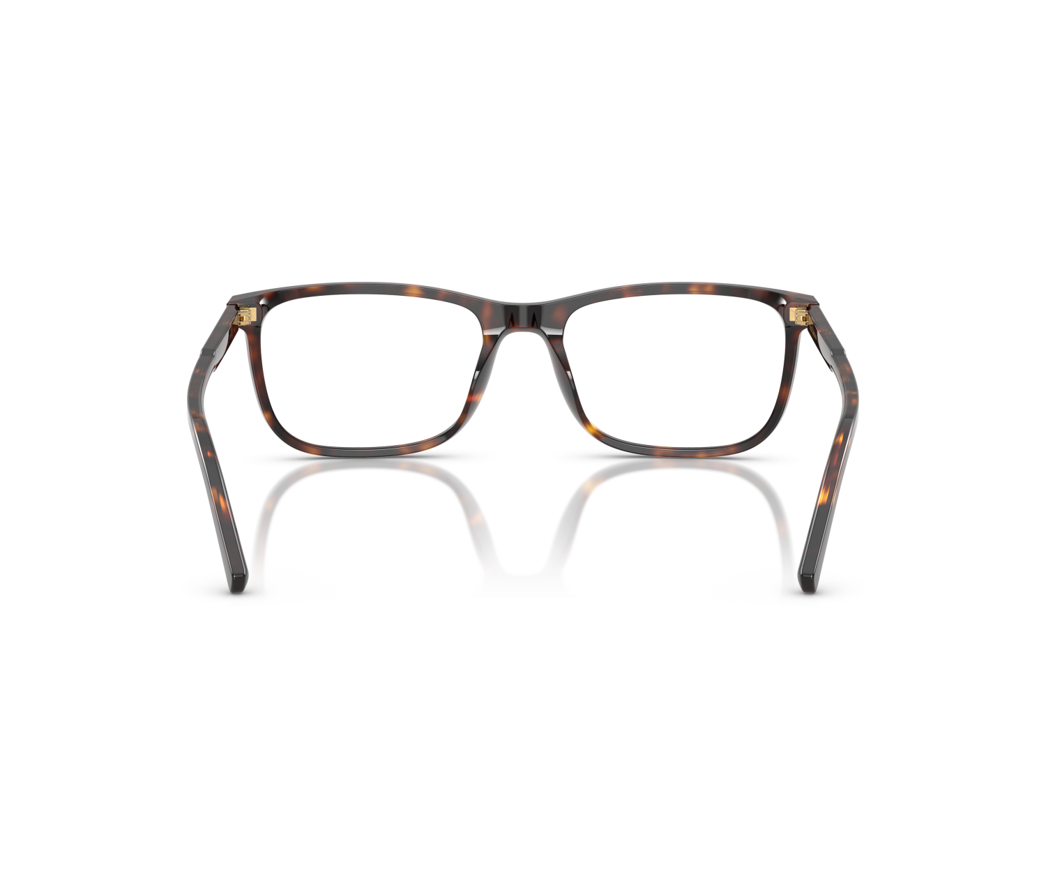 DOLCE & GABBANA - DG3427 - 502 - 55