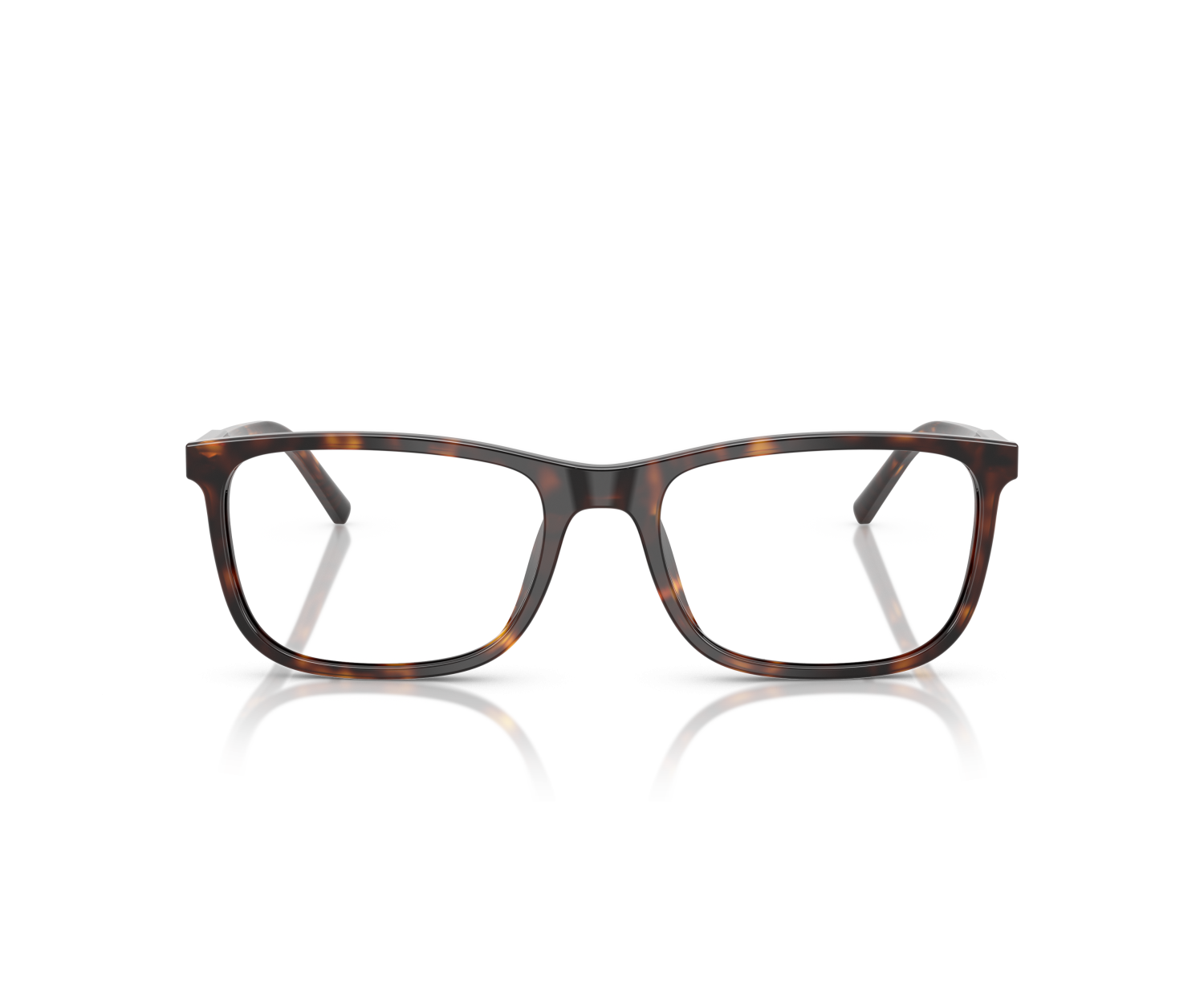 DOLCE & GABBANA - DG3427 - 502 - 55