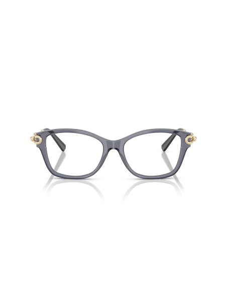 TIFFANY - TF2266 - 8405 - 53