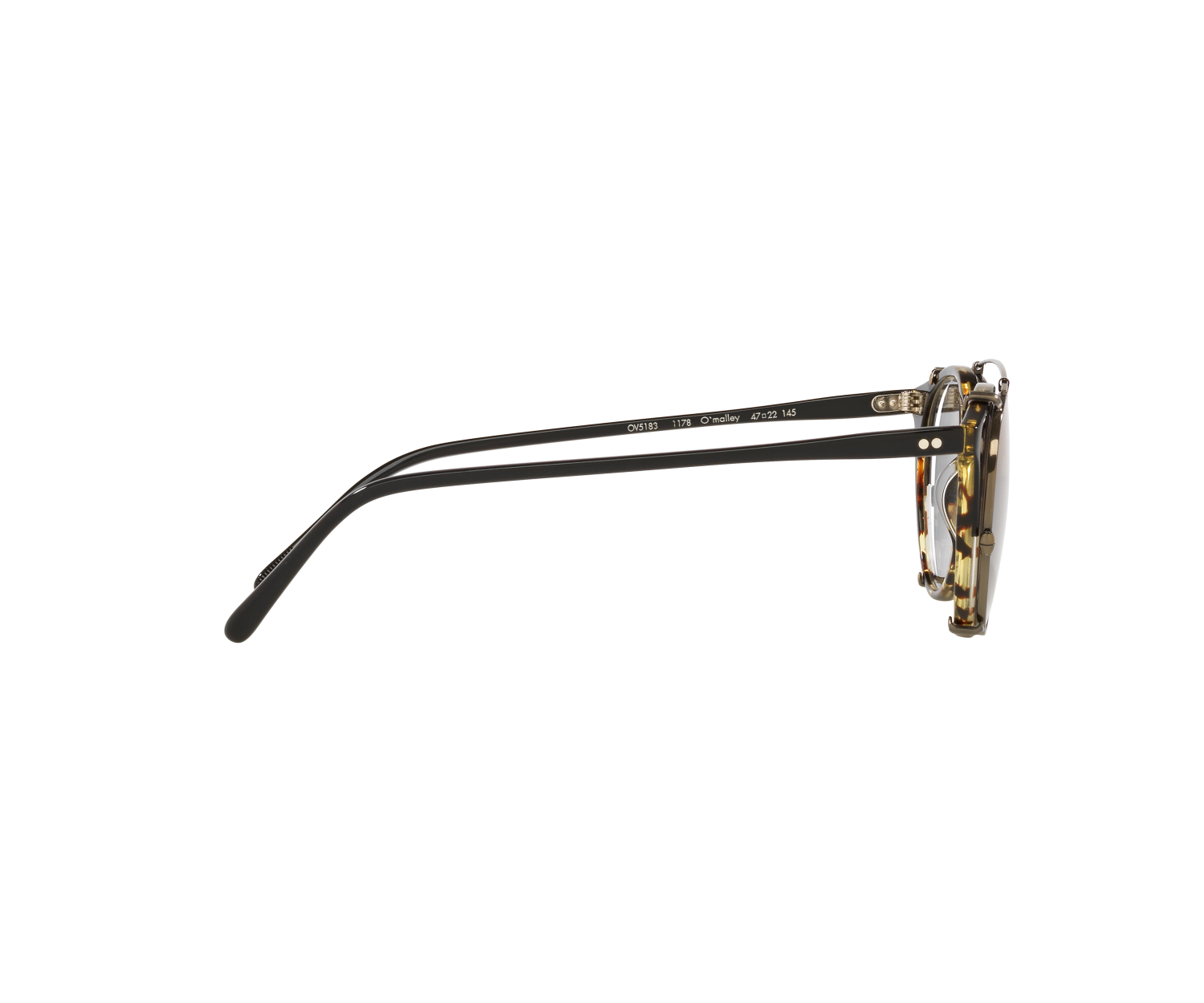 OLIVER PEOPLES - O'MALLEY - OV5183CM - 528482 - 47
