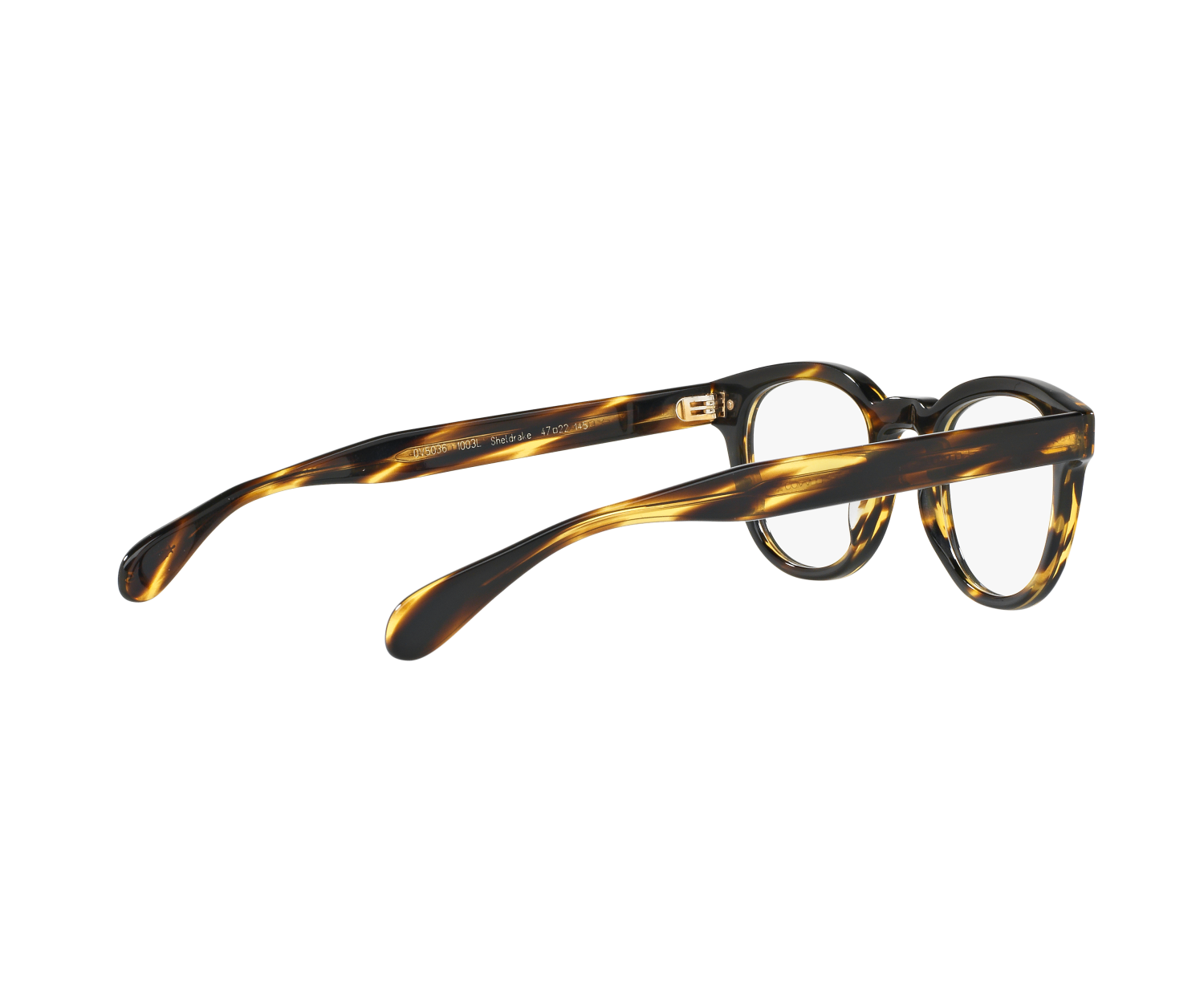 OLIVER PEOPLES - SHELDRAKE - OV5036 - 1003L - 52