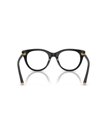 DOLCE & GABBANA - DG3433 - 501 - 53