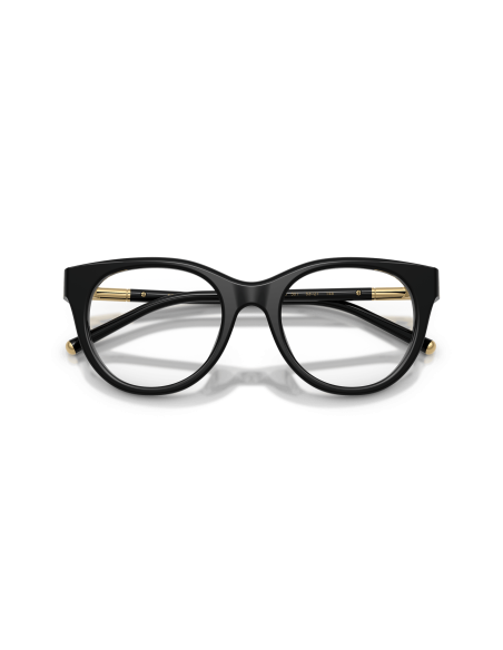 DOLCE & GABBANA - DG3433 - 501 - 53