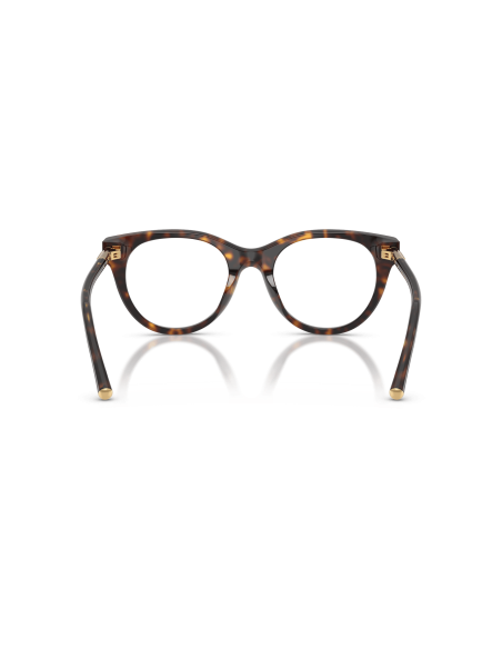 DOLCE & GABBANA - DG3433 - 502 - 53