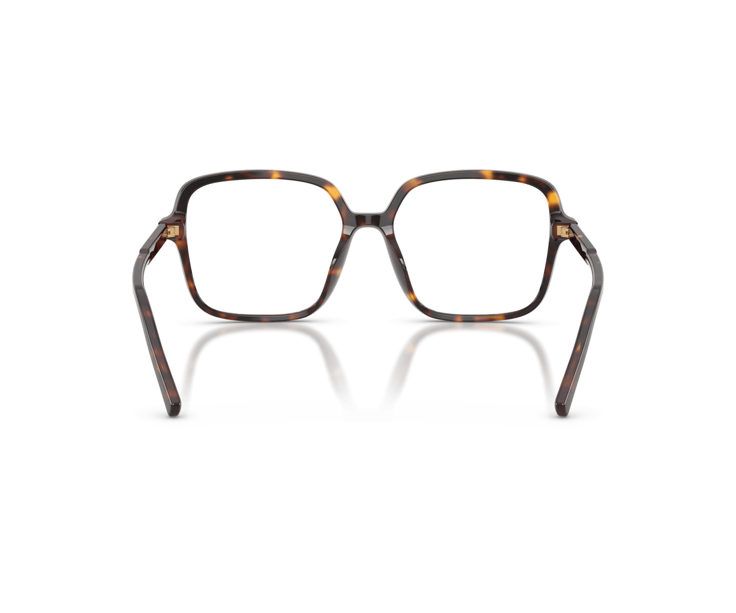 DOLCE & GABBANA - DG3442 - 502 - 55
