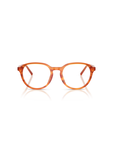 DOLCE & GABBANA - DG3444 - 3483 - 52