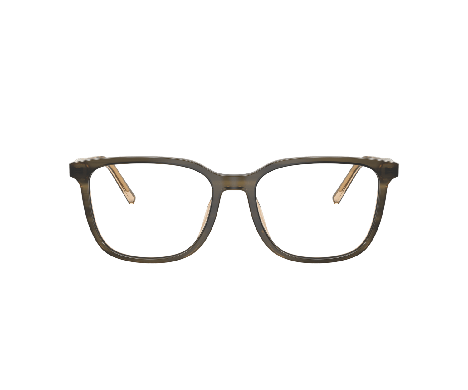 DOLCE & GABBANA - DG3445 - 3480 - 55