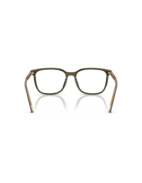 DOLCE & GABBANA - DG3445 - 3480 - 55