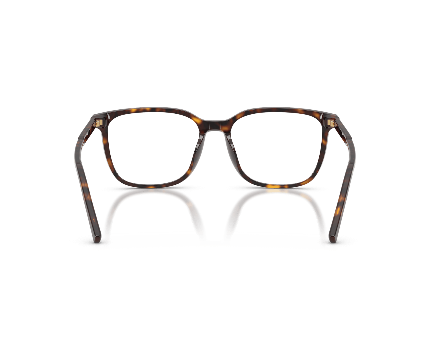 DOLCE & GABBANA - DG3445 - 502 - 55