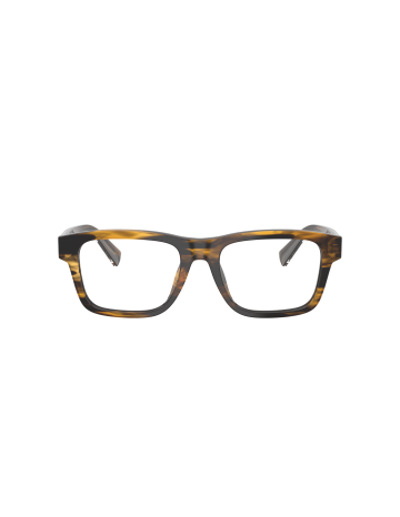 DOLCE & GABBANA - DG3446 - 3063 - 53 2