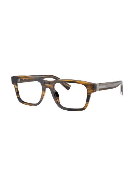 DOLCE & GABBANA - DG3446 - 3063 - 53