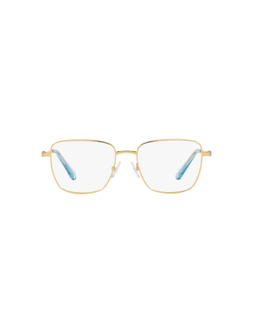 SWAROVSKI - SK1003 - 4021 - 55 2