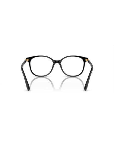 SWAROVSKI - SK2002 - 1001 - 53