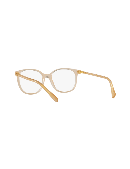 SWAROVSKI - SK2002 - 1034 - 53