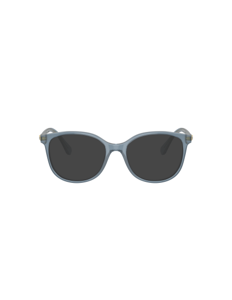 SWAROVSKI - SK2002 - 1035 - 53