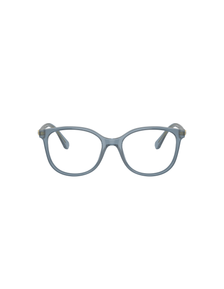 SWAROVSKI - SK2002 - 1035 - 53