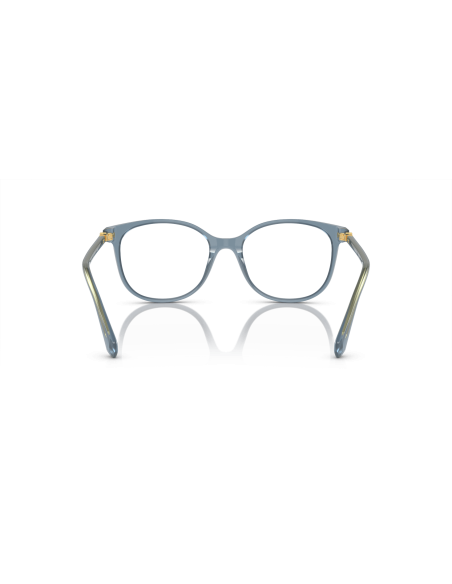 SWAROVSKI - SK2002 - 1035 - 53