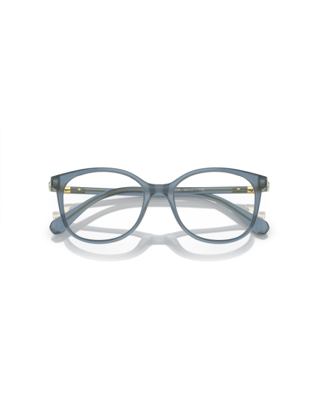 SWAROVSKI - SK2002 - 1035 - 53