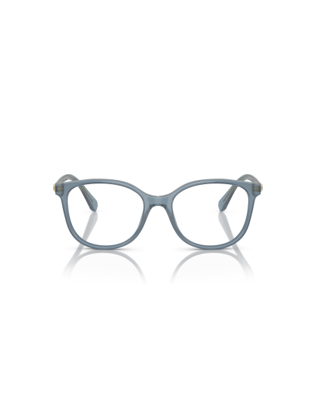 SWAROVSKI - SK2002 - 1035 - 53