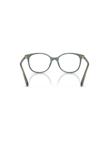 SWAROVSKI - SK2002 - 1043 - 53