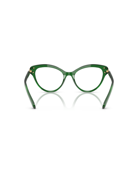 SWAROVSKI - SK2030 - 1064 - 55
