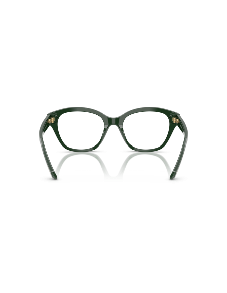 SWAROVSKI - SK2038 - 1026 - 53