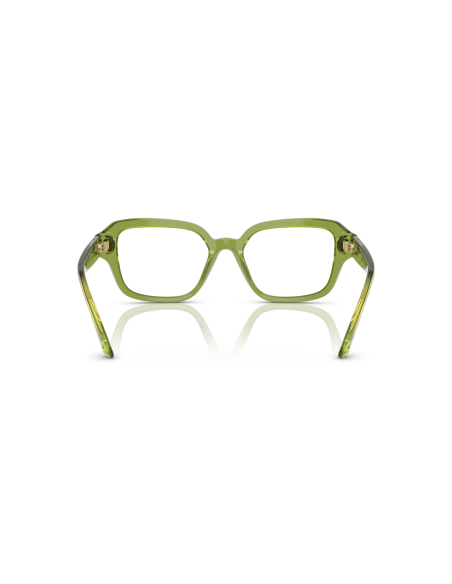 SWAROVSKI - SK2039 - 3002 - 52