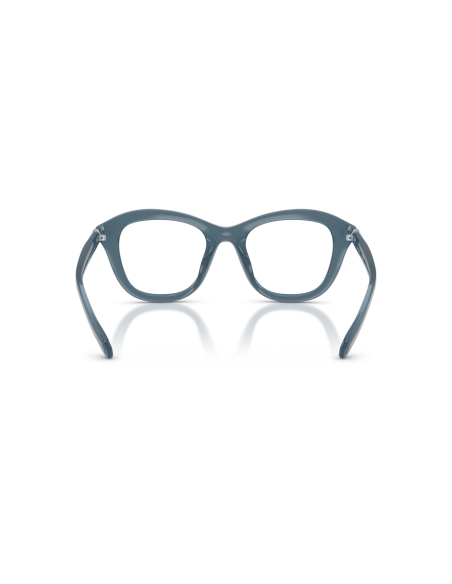 SWAROVSKI - SK2042U - 1035 - 50
