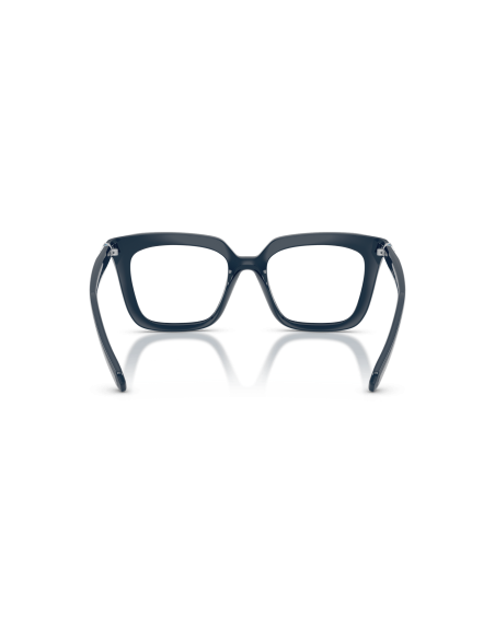 SWAROVSKI - SK2043 - 1004 - 51