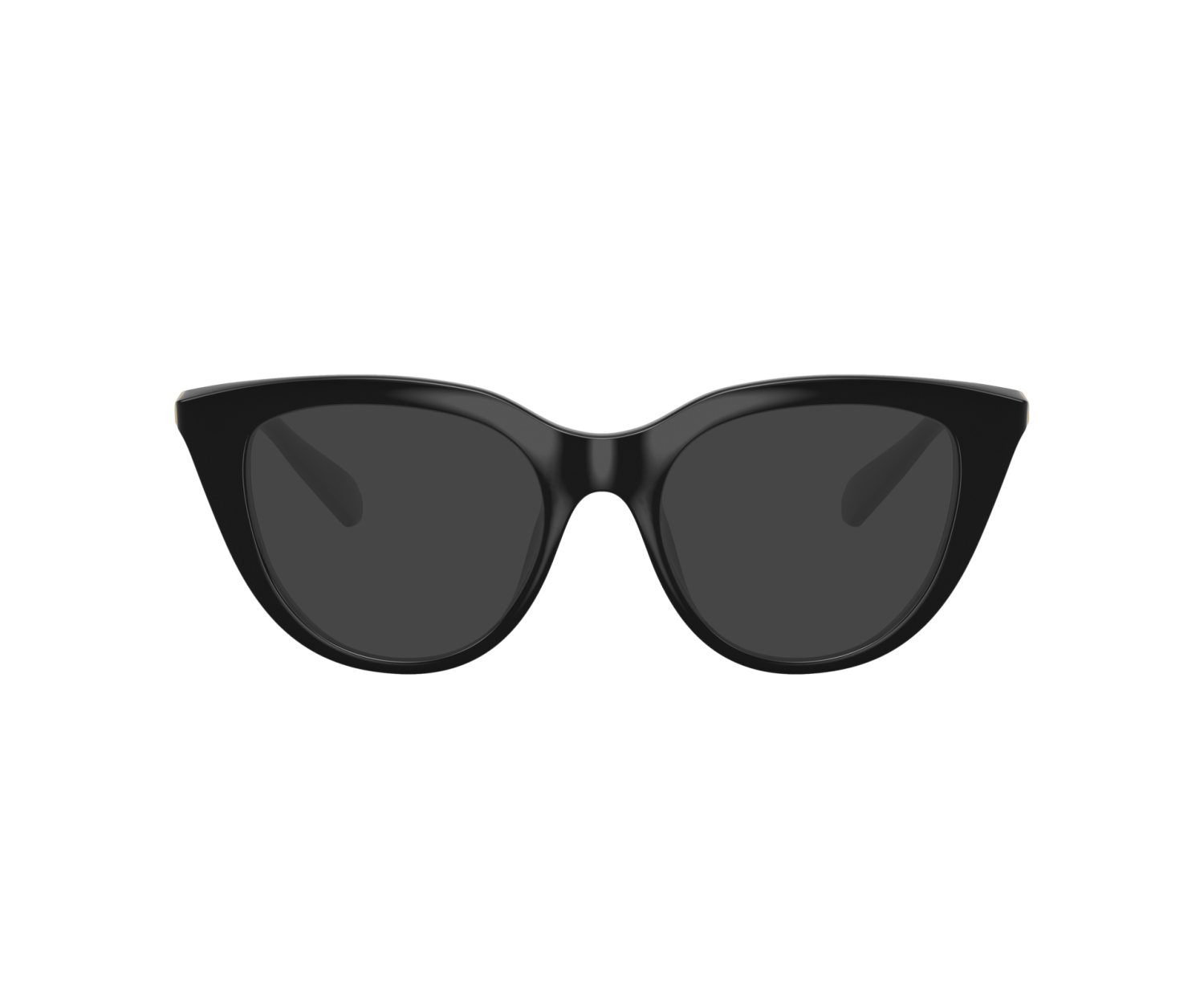 SWAROVSKI - SK2052 - 1001 - 51