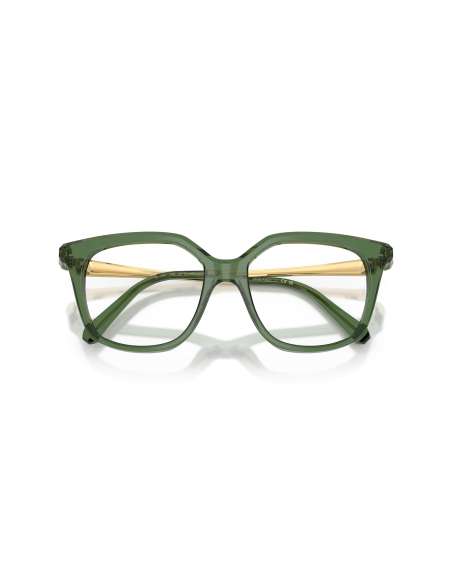 SWAROVSKI - SK2059 - 1085 - 53