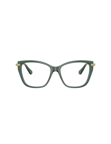 SWAROVSKI - SK2060 - 1043 - 55 2